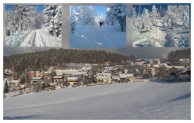 Winter in B�rmannsried