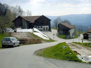 foto_vergleichfoto_2004_1.jpg (25592 Byte)