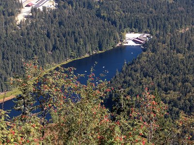 foto_wanderung_mittagsplatzl_3.jpg (60826 Byte)