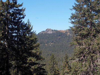 foto_wanderung_mittagsplatzl_4.jpg (49622 Byte)