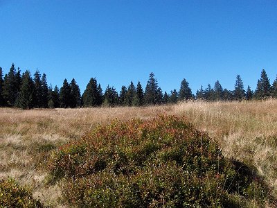 foto_wanderung_mittagsplatzl_5.jpg (42144 Byte)